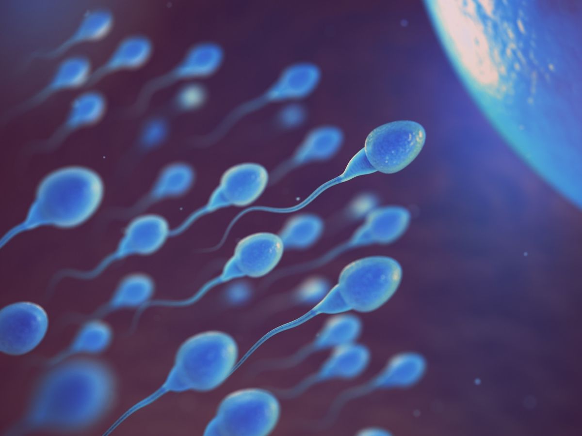 Contraer COVID-19 puede afectar negativamente la calidad del esperma.