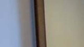 suicide machine sarco