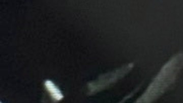 Arma recuperada por NYPD en escena criminal.