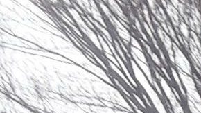 Ambulancia en Central Park, NYC/Archivo.