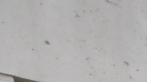 La educación de los pequeños se imparte en el hogar y en las escuelas. /Archivo