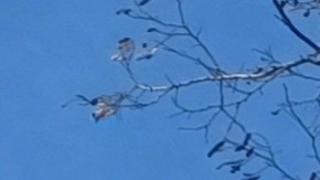 Una protesta exigió contener la "crisis humanitaria" en Rikers en enero 2022.