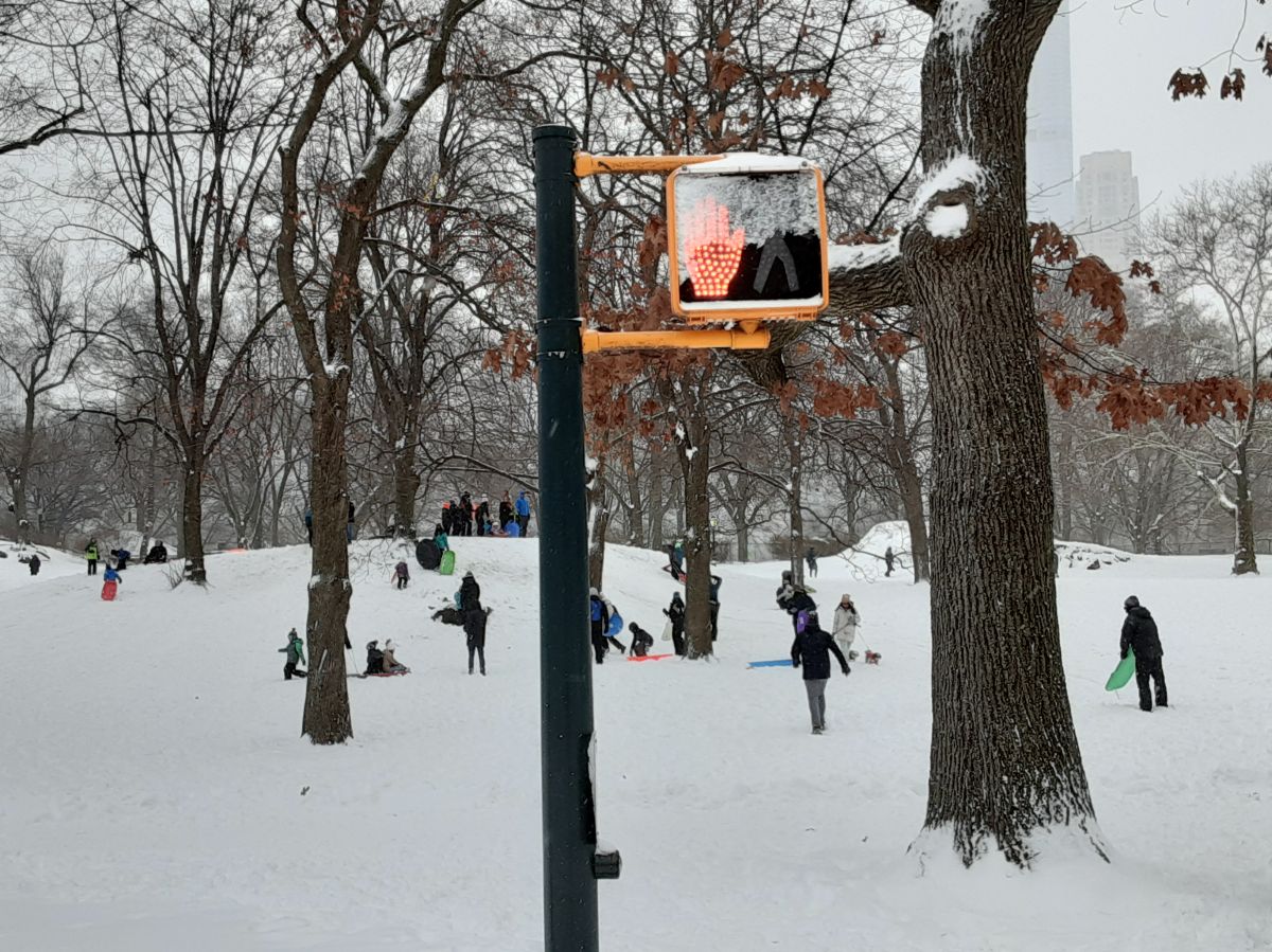 Nieve hasta el semáforo, pero la gente no dejó de ir a Central Park.