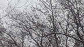 Nieve en Central Park, NYC/Archivo.