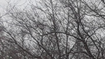 Nieve en Central Park, NYC/Archivo.