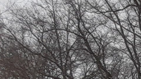 Nieve en Central Park, NYC/Archivo.