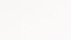 Nicki Minaj junto a Meek Mill.