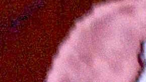 Daddy Yankee cerró sus redes sociales y dejó un intrigante mensaje en la cuenta de su compañía