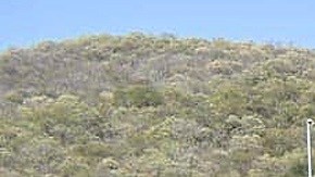 La explosión ocurrió la mañana en un camino de terracería entre los municipios de Aguililla, Tepalcatepec y Coalcomán.