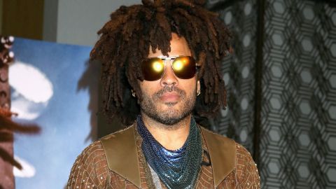 Recuerda la propiedad de Lenny Kravitz, exesposo de Lisa Bonet, en Brasil