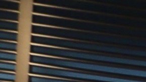 Roberto Hernández junto a Lili Estefan, Jomari Goyso y Raúl de Molina, para El Gordo y la Flaca.