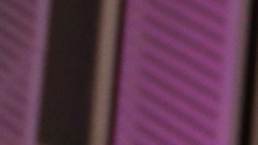 Suelta La Sopa reaparece en Instagram con nuevas publicaciones, ¿se niegan a irse?