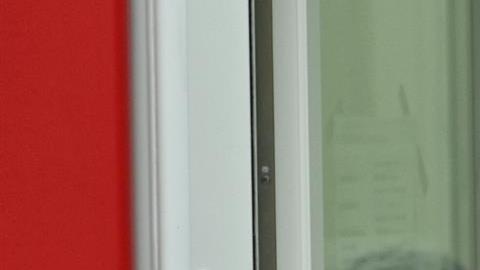 Covid: Lo que se sabe de BA.2, la nueva variante de Ómicron que tiene a la OMS en alerta