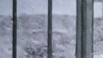 Bayern Múnich realizó sorpresivo fichaje en Asia