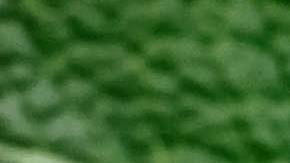 Bebidas mexicanas para la resaca