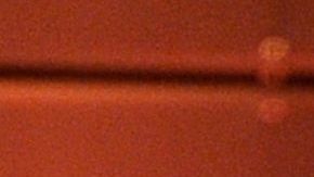 Betty White murió el 31 de diciembre del 2021 a los 99 años.