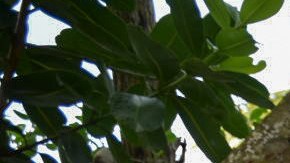 El líder de la mayoría del Senado, Chuck Schumer, visitó  el Caño Martín Peña en 2021.