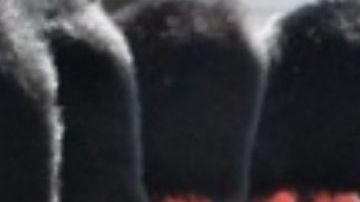 Palacio de Buckingham