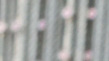 Egan Bernal superó dos nuevas cirugías