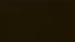 Dr. Anthony Fauci durante su audiencia en el Senado.