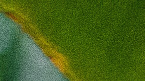 Las familias latinas cuentan con una nueva herramienta para su salud.