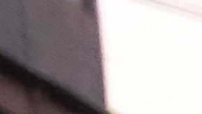 Ejército de México