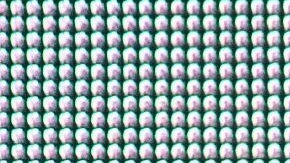 Así es la mansión que Céline Dion vendió con todo y parque acuático