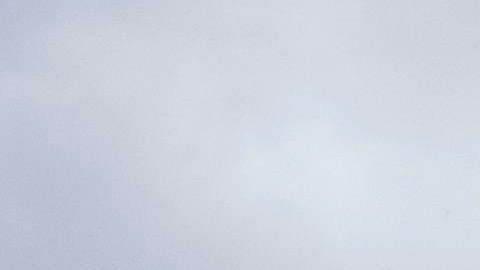 Entre las ruinas encontradas en la selva peruana, hallaron más de una docena de estructuras.