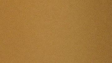 Los abogados del duque de York niegan que abusara sexualmente de Virginia Giuffre.