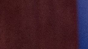 Lloyd Austin COVID-19