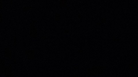 El expresidente Donald Trump.