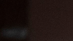 Anthony Fauci y Rochelle Walensky