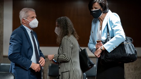 Anthony Fauci y Rochelle Walensky