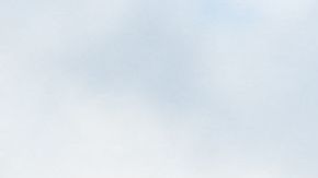 La capitana Jo-Ann Burdian, comandante del sector Miami en la Guardia Costera, expresó sus condolencias a los familiares.