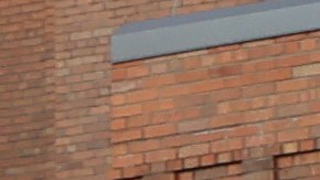 Autobús escolar Nueva York