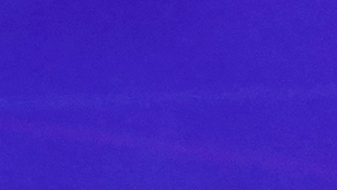 Anuel y Yailin se comprometieron: el ex novio de Karol G le entregó un anillo