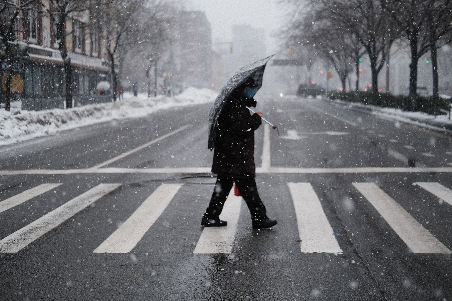 temperatura en new york en grados fahrenheit