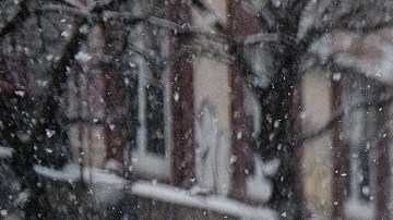 Este lunes podría caer nieve en la ciudad de Nueva York.