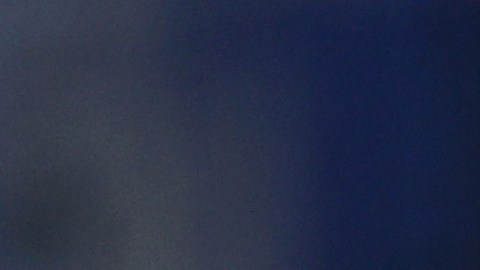 Australian Open, Djokovic, Deportación, Tenis