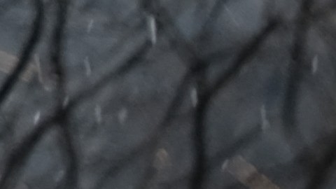 Policías ocuparon el viernes la Quinta Avenida de Nueva York para despedir a su colega Jason Rivera.