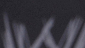 Vince McMahon es el director ejecutivo de la WWE