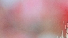 Toni Kroos