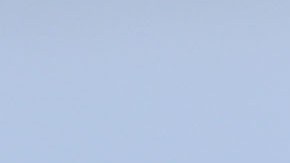 Amor, árbitra, jugador