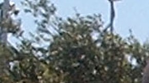 Michael Jackson con sus hermanas LaToya Jackson y Janet Jackson.