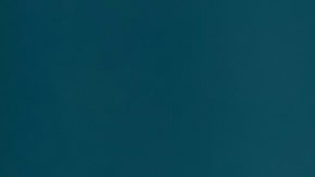 La dueña de Charlie culpa a Southwest Airlines por la muerte de su perro.