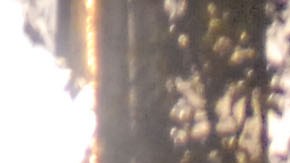 New Hampshire Police