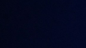 Alejandro Fernández junto a Doña Cuquita le cantan a Vicente Fernández