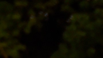 Cuauhtémoc Blanco fue fotografiado con líderes del narcotráfico.