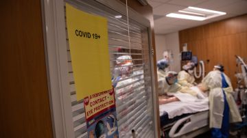 Hasta este lunes, las hospitalizaciones por COVID-19 en todo Nueva York ya superaban las 12,000.