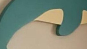 Pamela Silva cuidando a Ford luego de la cirugía